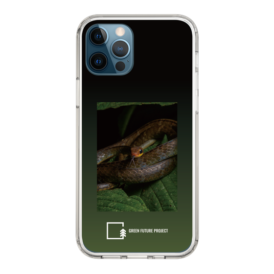 Slim Protection Case［ Green Future Project - Chironius ］
