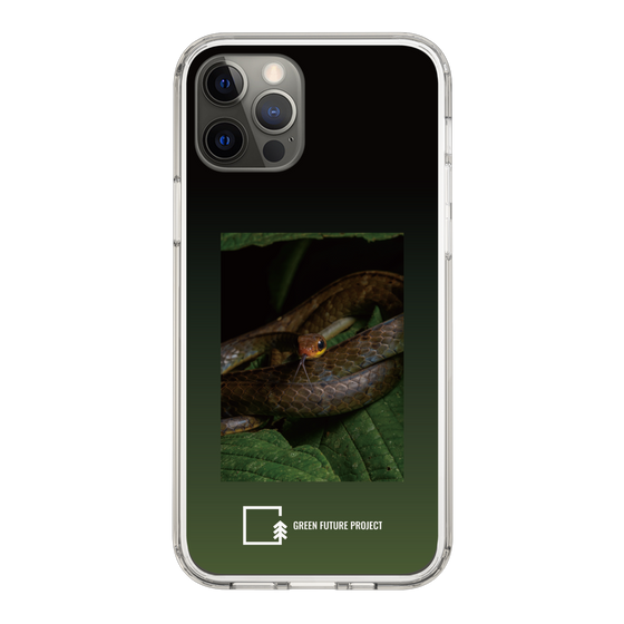 Slim Protection Case［ Green Future Project - Chironius ］