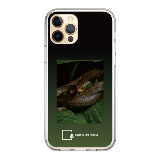 Slim Protection Case［ Green Future Project - Chironius ］