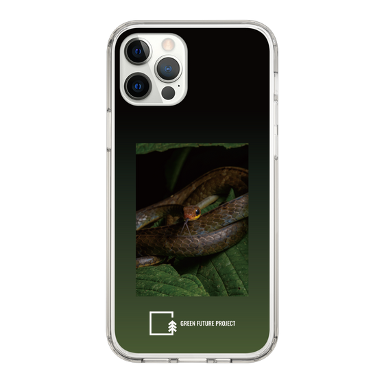 Slim Protection Case［ Green Future Project - Chironius ］