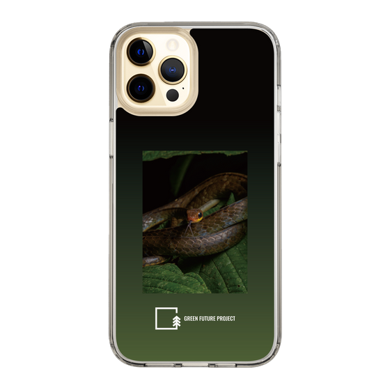 Slim Protection Case［ Green Future Project - Chironius ］