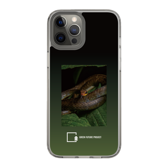 Slim Protection Case［ Green Future Project - Chironius ］