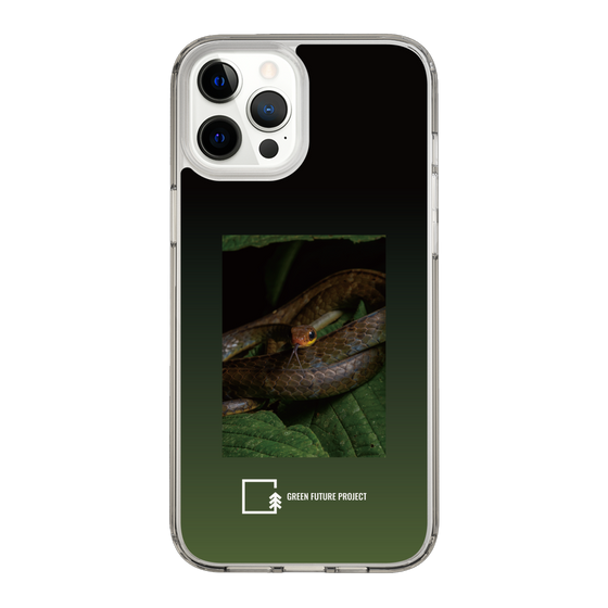 Slim Protection Case［ Green Future Project - Chironius ］