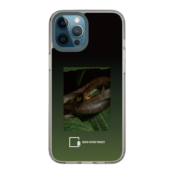 Slim Protection Case［ Green Future Project - Chironius ］