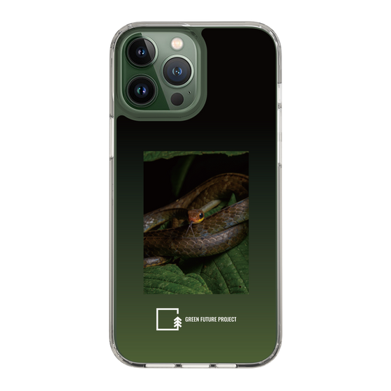 Slim Protection Case［ Green Future Project - Chironius ］