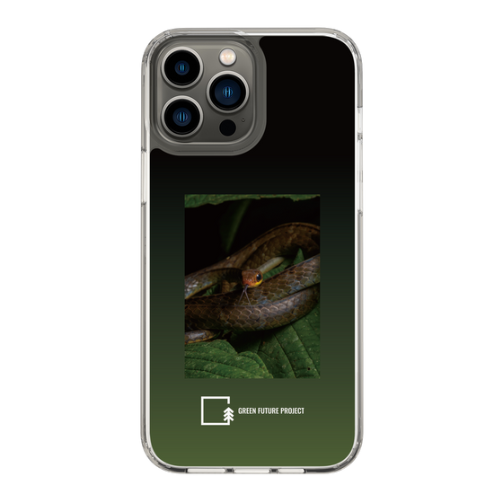 Slim Protection Case［ Green Future Project - Chironius ］