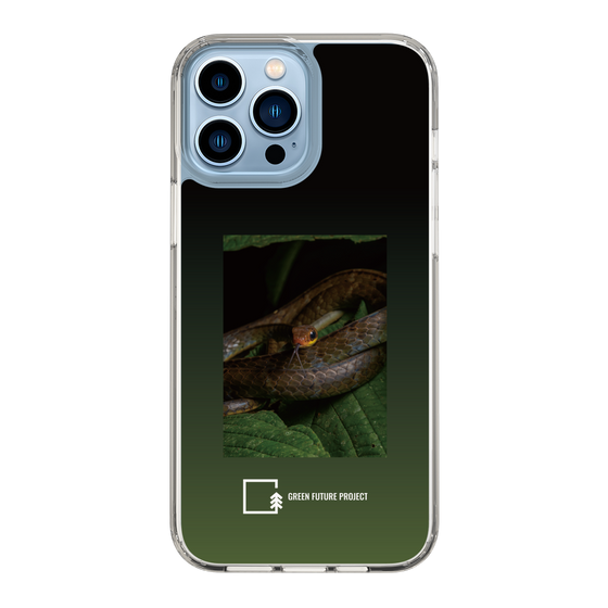 Slim Protection Case［ Green Future Project - Chironius ］