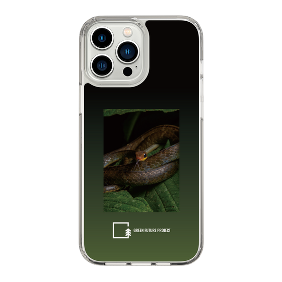 Slim Protection Case［ Green Future Project - Chironius ］