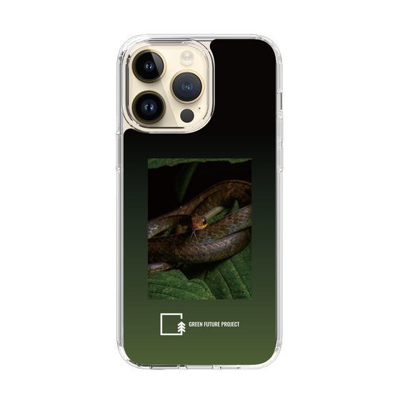 Slim Protection Case［ Green Future Project - Chironius ］