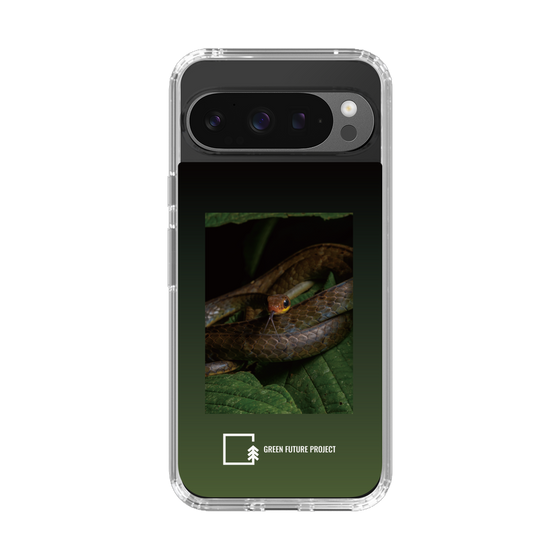 Slim Protection Case［ Green Future Project - Chironius ］