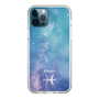 Slim Protection Case［ STARRY SIGNS - Original - Pisces ］