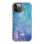Slim Protection Case［ STARRY SIGNS - Original - Pisces ］