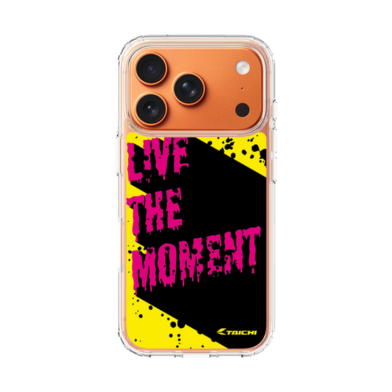 Slim Protection Case［ TAICHI - PAINT ］