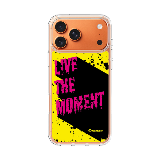 Slim Protection Case［ TAICHI - PAINT ］