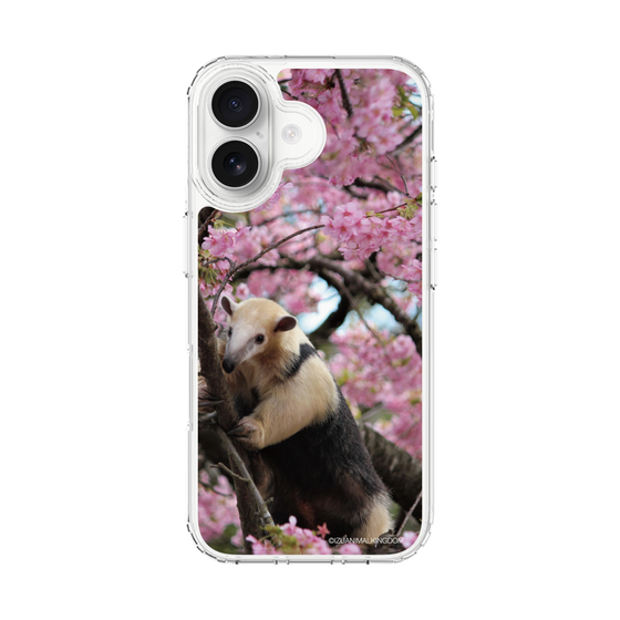 Slim Protection Case［ The Izu Animal Kingdom - Anteater ］