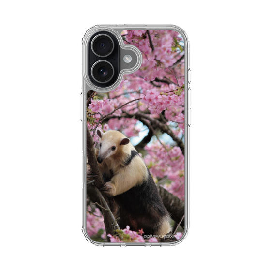 Slim Protection Case［ The Izu Animal Kingdom - Anteater ］
