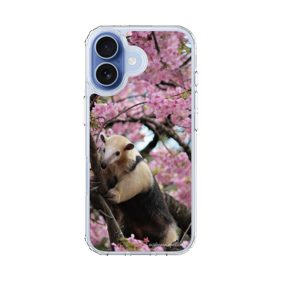 Slim Protection Case［ The Izu Animal Kingdom - Anteater ］
