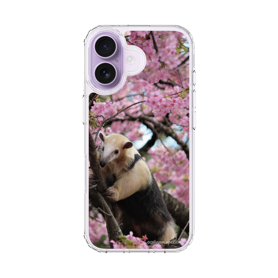 Slim Protection Case［ The Izu Animal Kingdom - Anteater ］