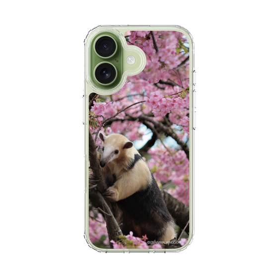 Slim Protection Case［ The Izu Animal Kingdom - Anteater ］