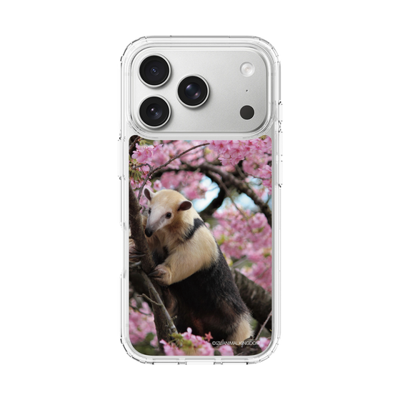 Slim Protection Case［ The Izu Animal Kingdom - Anteater ］