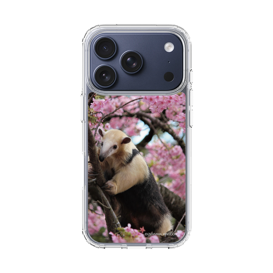 Slim Protection Case［ The Izu Animal Kingdom - Anteater ］