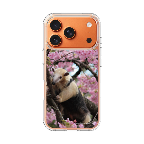 Slim Protection Case［ The Izu Animal Kingdom - Anteater ］