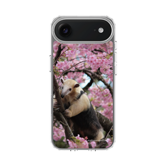 Slim Protection Case［ The Izu Animal Kingdom - Anteater ］