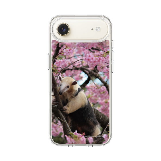 Slim Protection Case［ The Izu Animal Kingdom - Anteater ］