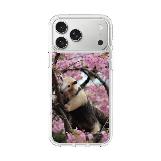 Slim Protection Case［ The Izu Animal Kingdom - Anteater ］