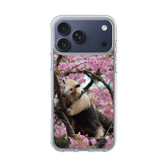 Slim Protection Case［ The Izu Animal Kingdom - Anteater ］