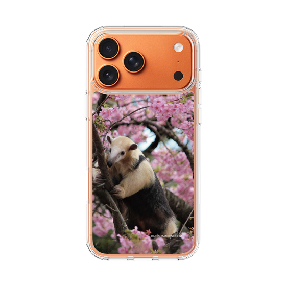 Slim Protection Case［ The Izu Animal Kingdom - Anteater ］