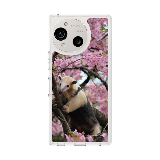 Slim Protection Case［ The Izu Animal Kingdom - Anteater ］