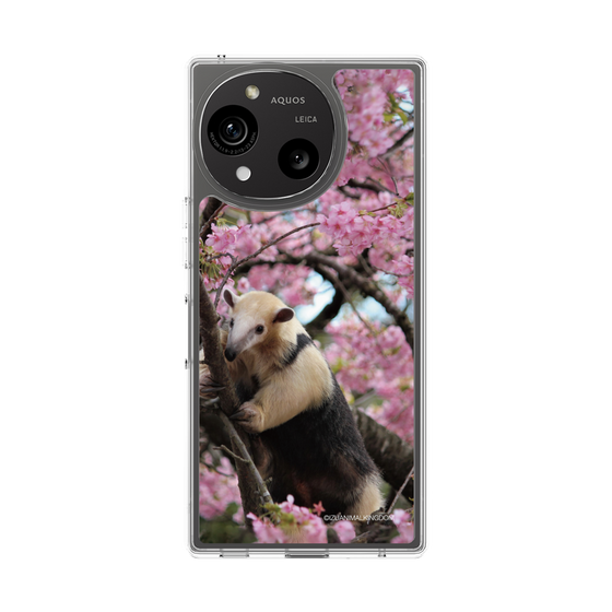 Slim Protection Case［ The Izu Animal Kingdom - Anteater ］