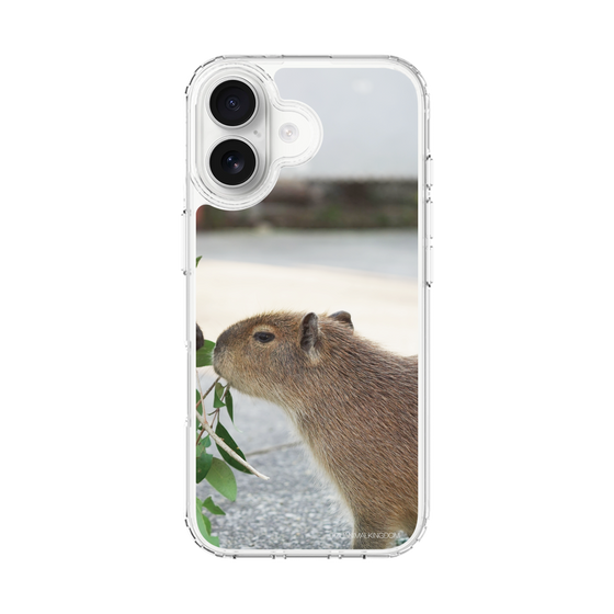 Slim Protection Case［ The Izu Animal Kingdom - Capybara ］