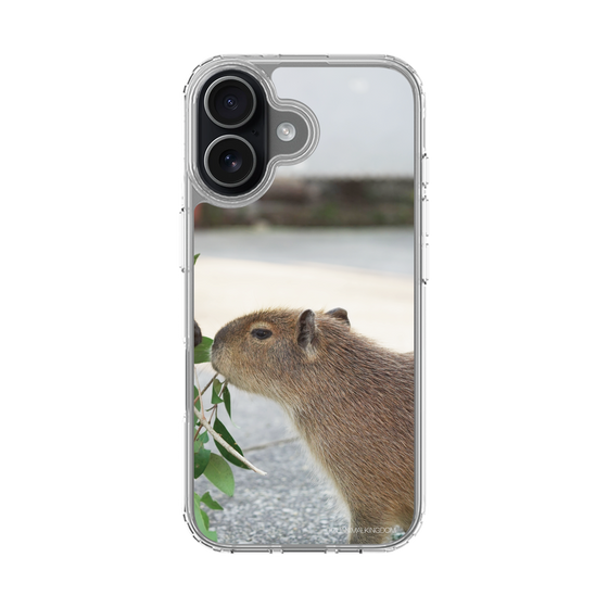 Slim Protection Case［ The Izu Animal Kingdom - Capybara ］