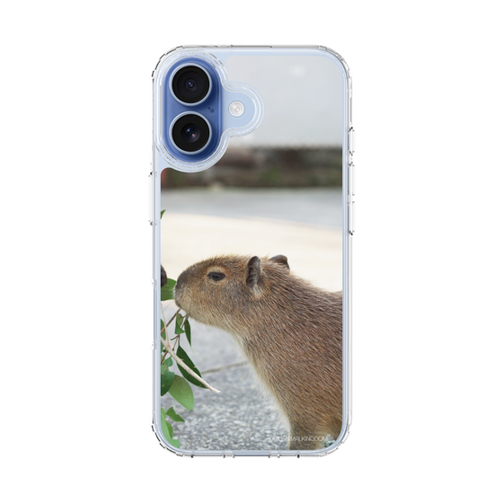 Slim Protection Case［ The Izu Animal Kingdom - Capybara ］