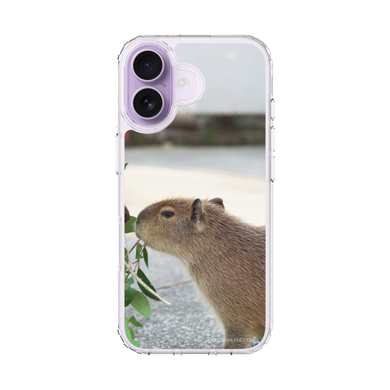 Slim Protection Case［ The Izu Animal Kingdom - Capybara ］