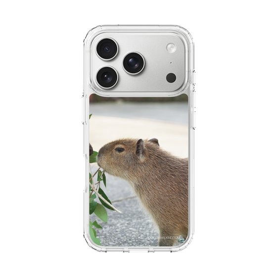Slim Protection Case［ The Izu Animal Kingdom - Capybara ］