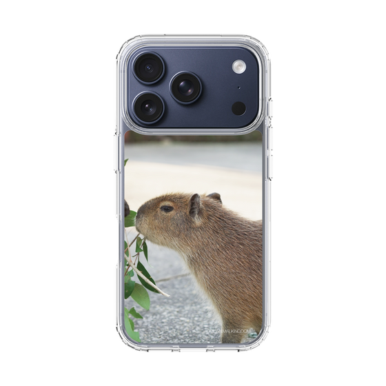 Slim Protection Case［ The Izu Animal Kingdom - Capybara ］