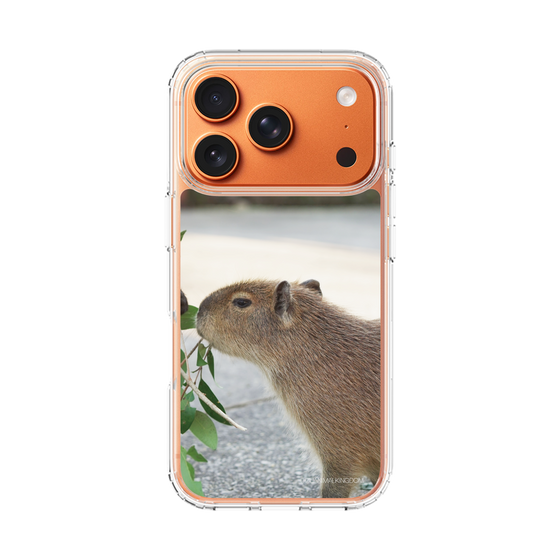 Slim Protection Case［ The Izu Animal Kingdom - Capybara ］