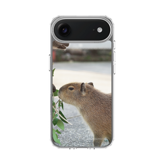Slim Protection Case［ The Izu Animal Kingdom - Capybara ］