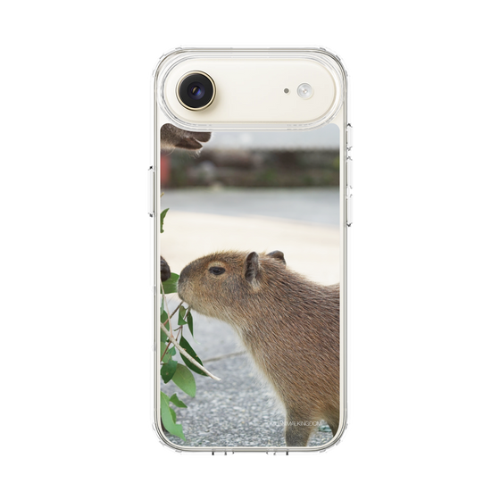 Slim Protection Case［ The Izu Animal Kingdom - Capybara ］