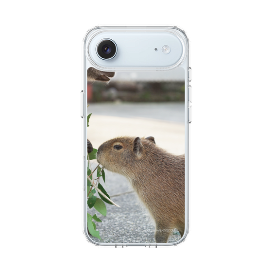 Slim Protection Case［ The Izu Animal Kingdom - Capybara ］