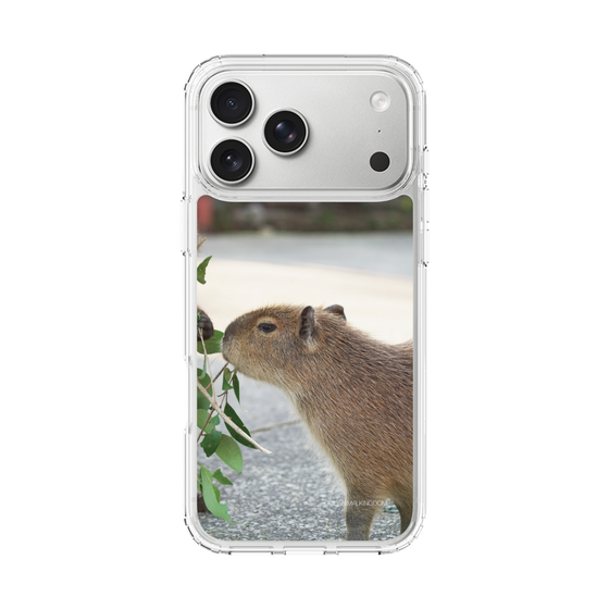 Slim Protection Case［ The Izu Animal Kingdom - Capybara ］