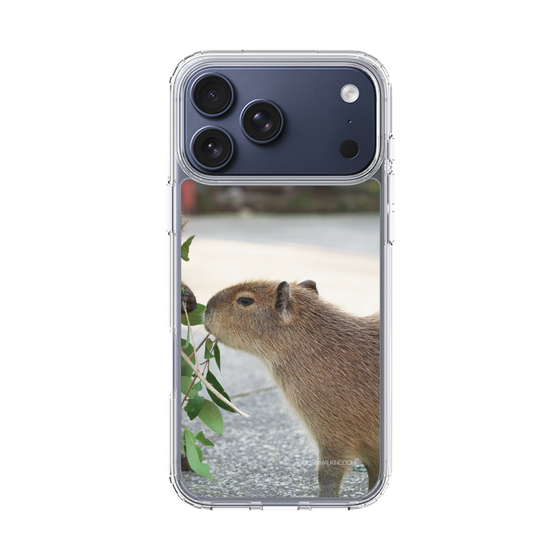 Slim Protection Case［ The Izu Animal Kingdom - Capybara ］
