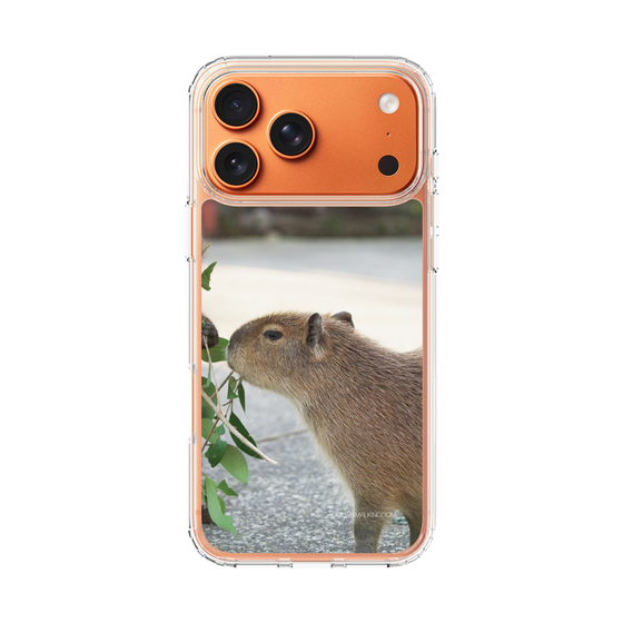 Slim Protection Case［ The Izu Animal Kingdom - Capybara ］