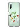 Slim Protection Case［ Katamari Damacy - The Prince and the Cousins ］