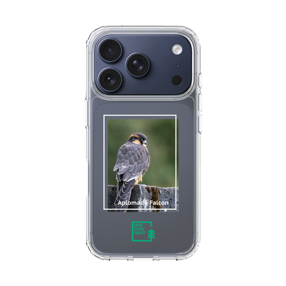 Slim Protection Case［ Green Future Project - Aplomado Falcon ］