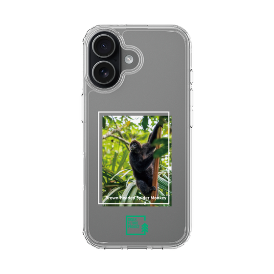 Slim Protection Case［ Green Future Project - Brown-headed Spider Monkey ］
