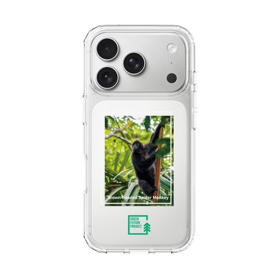 Slim Protection Case［ Green Future Project - Brown-headed Spider Monkey ］